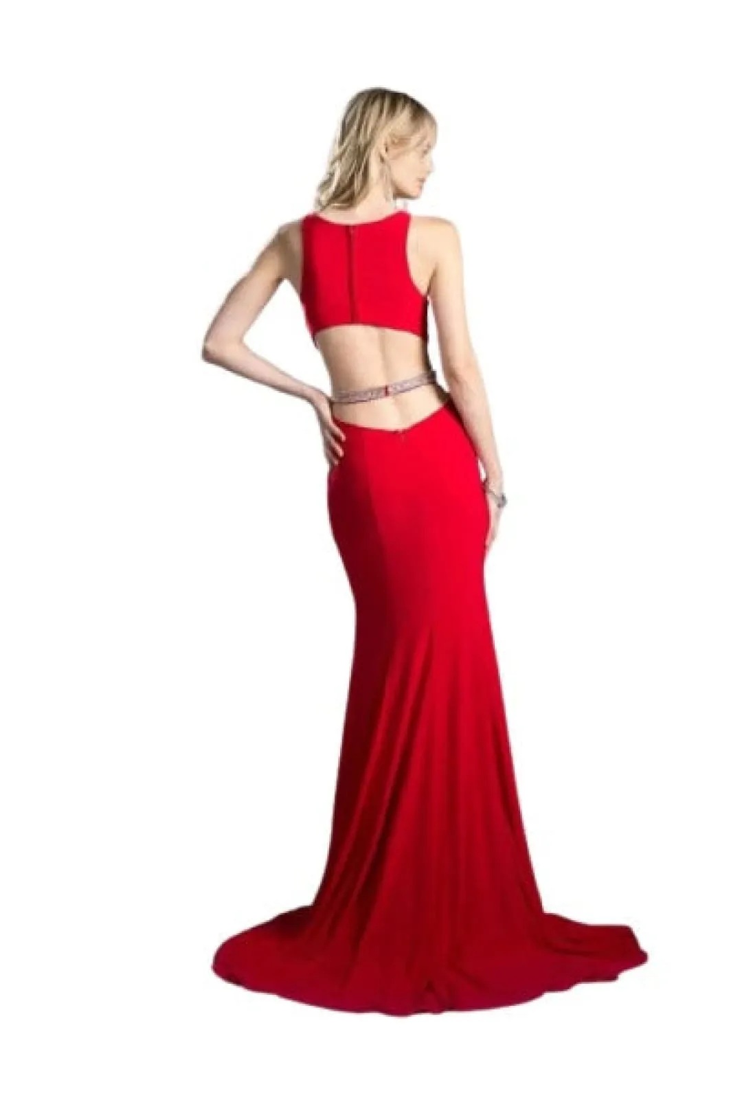 Illusion Paneled Cutout Gown 2025 Chic Evening Dress